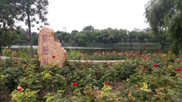 天津大学