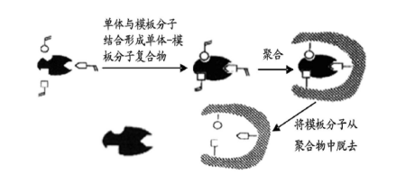 分子印迹过程示意图
