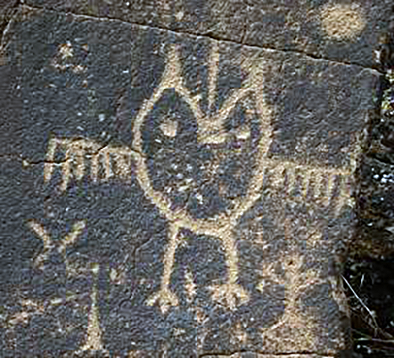 猫头鹰岩画 