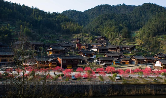 桃林春色