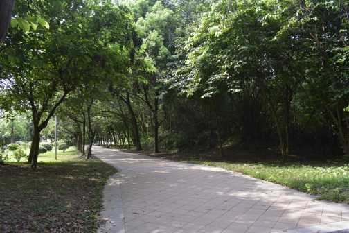 中山大学（东校区）