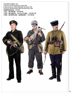 高加索和克里米亚，1942年