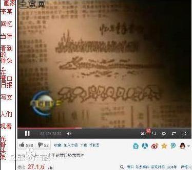漫画家李滨生回忆里围观龙骨架的形态图