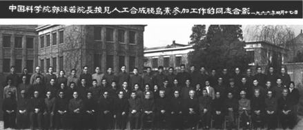 合照