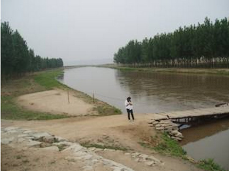 汾河河口附近景观 