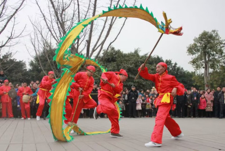 布衣龙