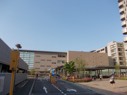 名古屋大学，鹤舞校区