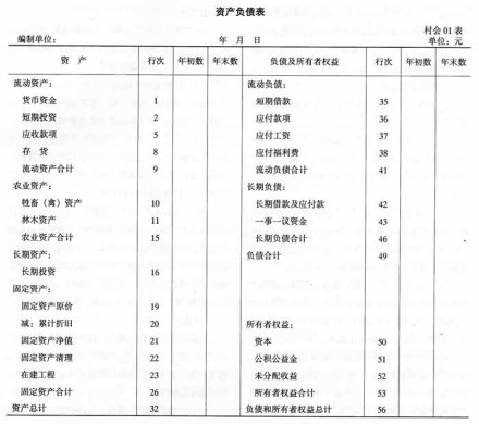 集体经济年度会计报表