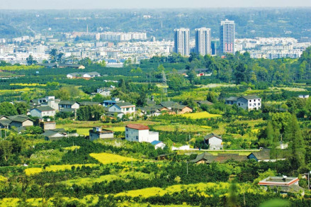 蒲江县