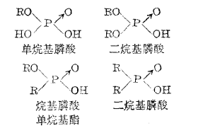 化合物类型