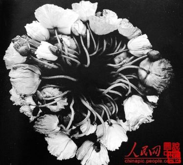 周润发摄影作品集