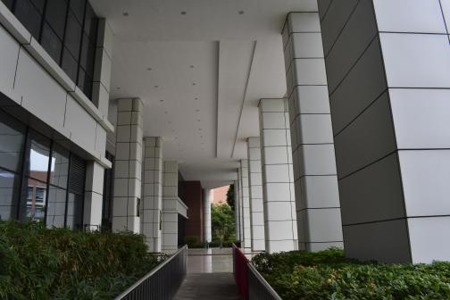 中山大学东校区
