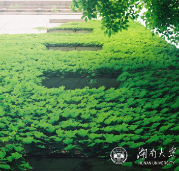 校园风景