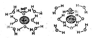 图1 被水溶剂化的正离子和负离子