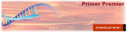 Primer Premier 5.0
