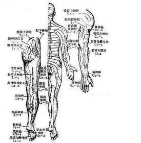 神经病学图谱