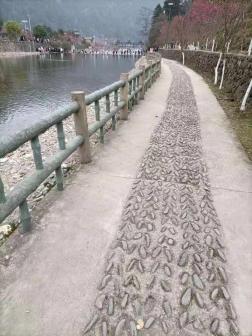 桃林河畔