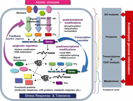 植物非生物逆境胁迫应答研究