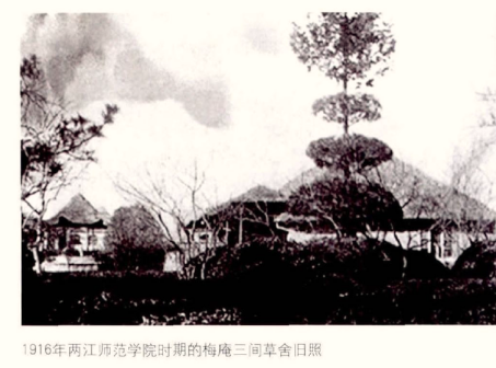 梅庵