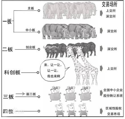 创业板