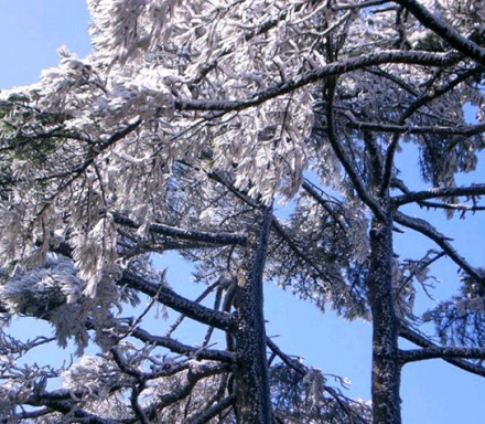 黄山