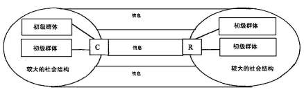 C=传播者总体社会系统R=接收者