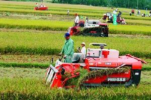 集体所有制农业