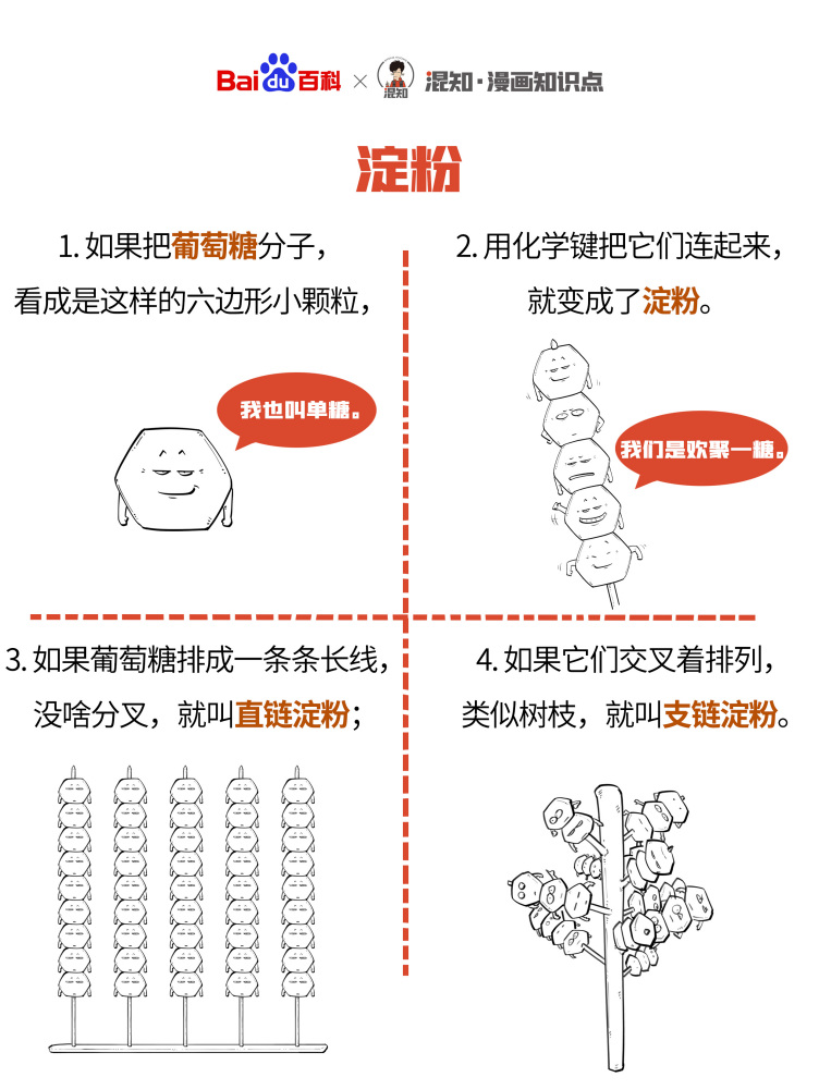 百科x混知：图解淀粉