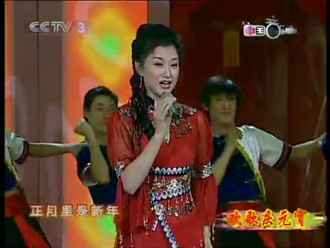 2004年中央电视台元宵晚会