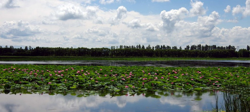 莲花湖