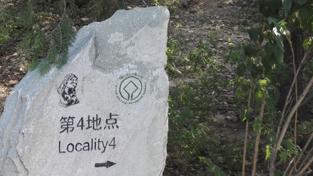 周口店遗址第4地点