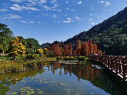 石门山森林公园