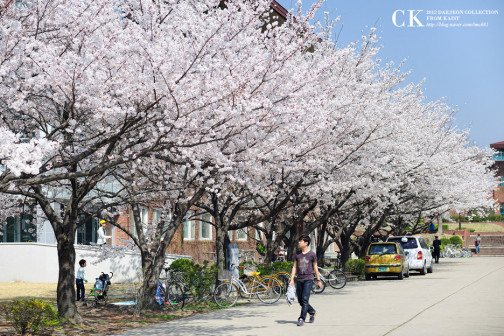 KAIST
