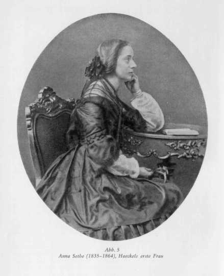 海克尔的妻子Anna Sethe（1835-1864） 