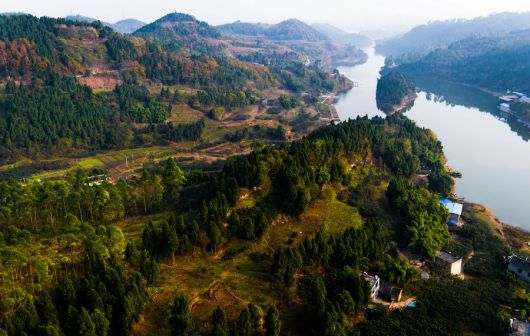 龙泉驿区