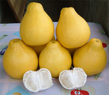 江永香柚