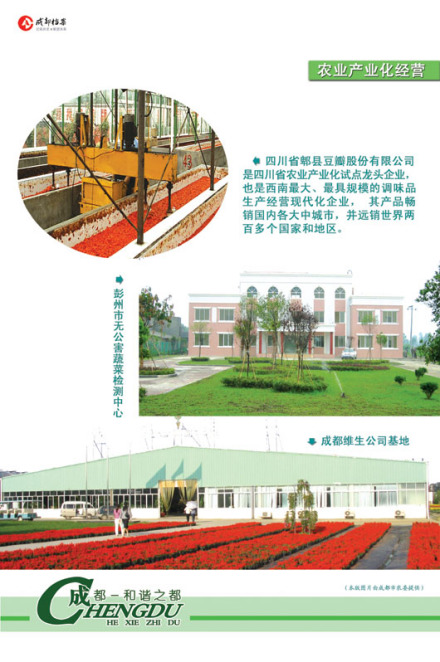 基础设施建设