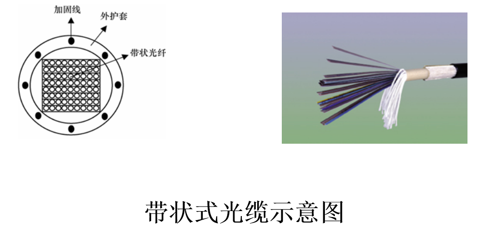 带状式光缆示意图