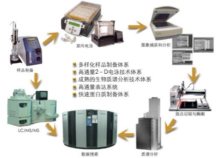 蛋白质组学新技术