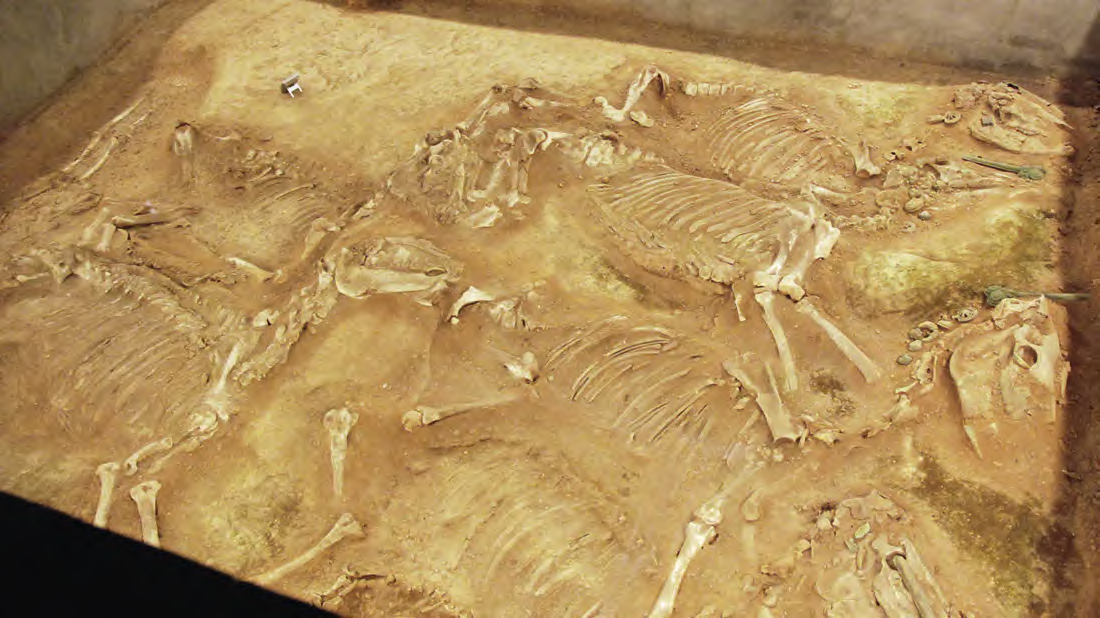 遗址标志物-西周车马坑