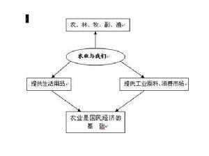 基础产业