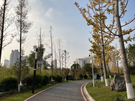 黄花公园