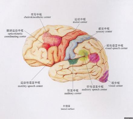 法医精神病鉴定，是法定能力的依据。