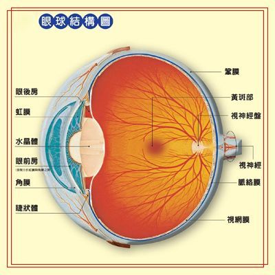 眼科学
