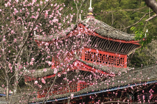 桃林太平桥