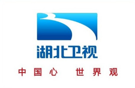 湖北卫视新台标