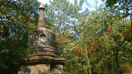 潭柘寺广慧通理禅师塔