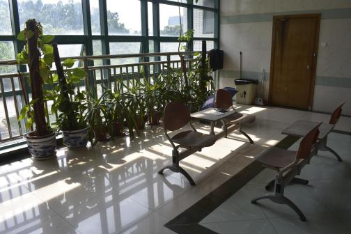 中山大学东校区