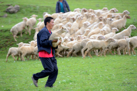 会东县风貌