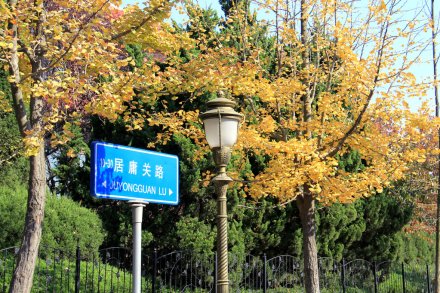 八大关风景